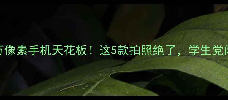 1300万像素手机天花板这5款拍照绝了学生党闭眼入