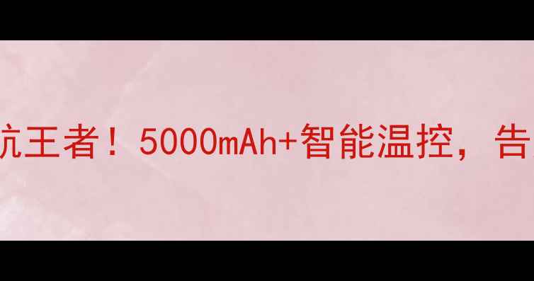 LT30P电池手机续航王者5000mAh智能温控告别电量焦虑的终极方案