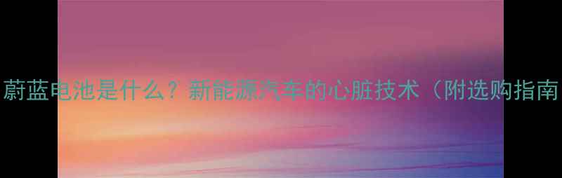 图片 🔋蔚蓝电池是什么？新能源汽车的心脏技术（附选购指南）