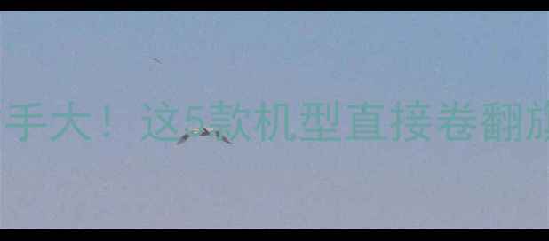 OPPO对手大这5款机型直接卷翻旗舰