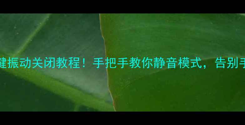 OPPO按键振动关闭教程手把手教你静音模式告别手抖党困扰