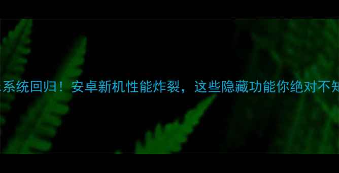 Zuk系统回归安卓新机性能炸裂这些隐藏功能你绝对不知道