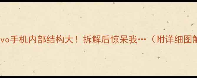 图片 🔥vivo手机内部结构大！拆解后惊呆我…（附详细图解）1