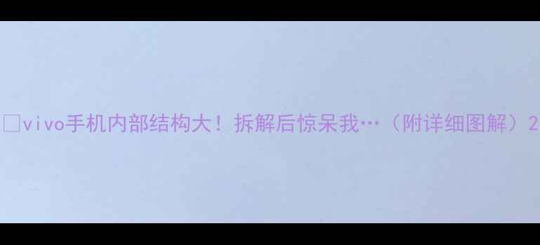 vivo手机内部结构大拆解后惊呆我附详细图解