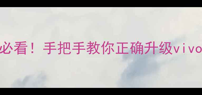 刷机前必看手把手教你正确升级vivoX40系统
