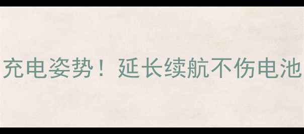 小米手机电池正确充电姿势延长续航不伤电池的5大秘诀附图