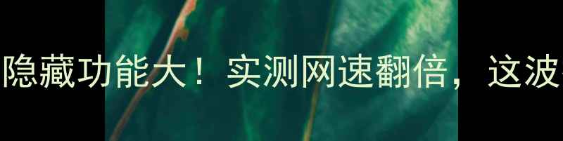 图片 🔥荣耀3浏览器隐藏功能大！实测网速翻倍，这波操作太香了！1