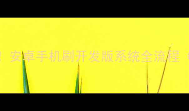 图片 🔥零基础必看！安卓手机刷开发版系统全流程（附避坑指南）